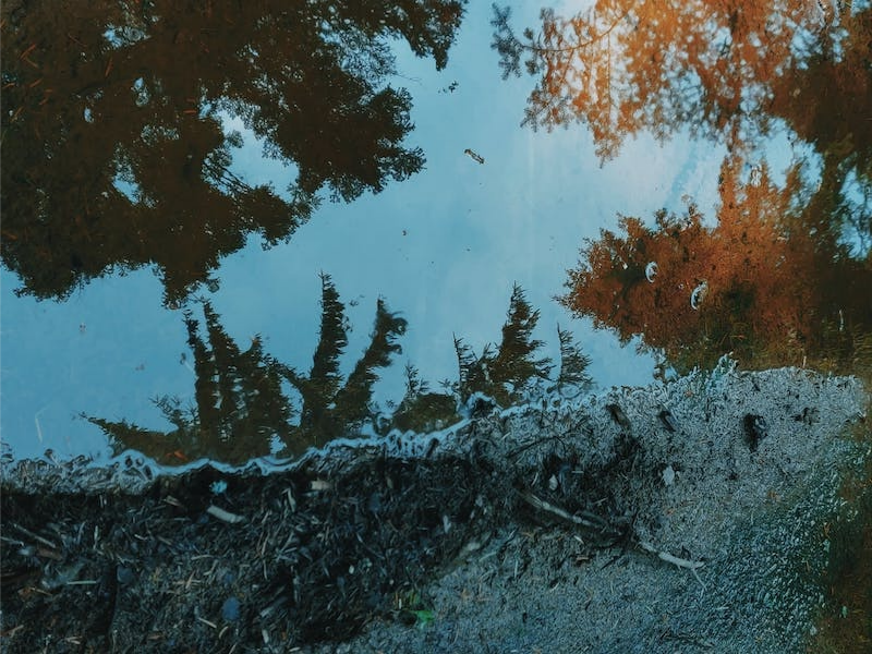 A photo showing water pooling on soil.