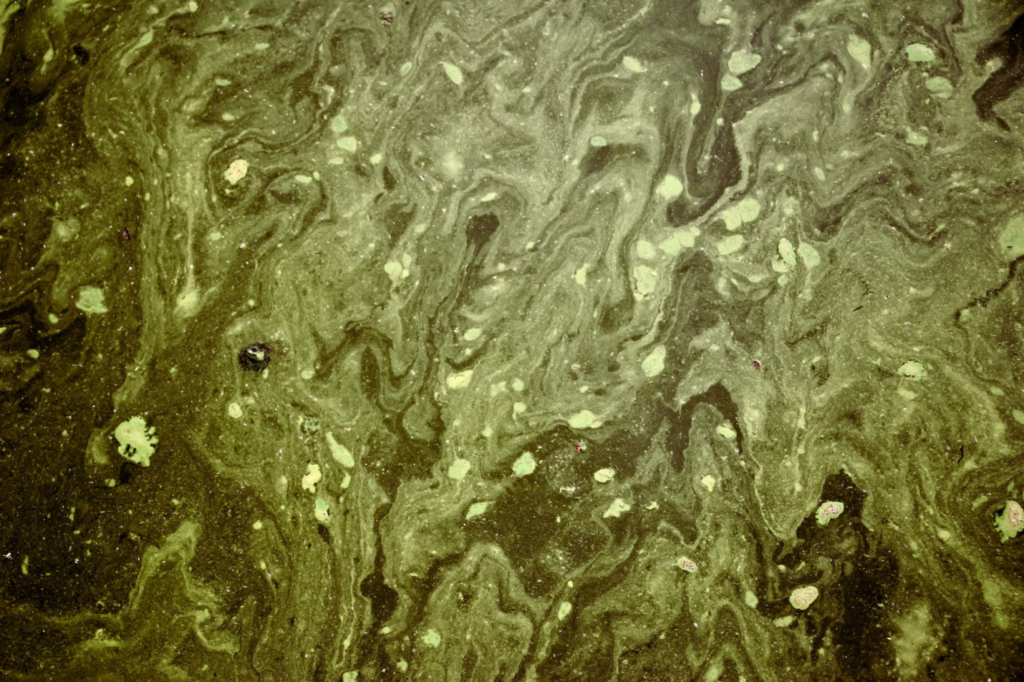 A photo showing dirty water covering a surface.