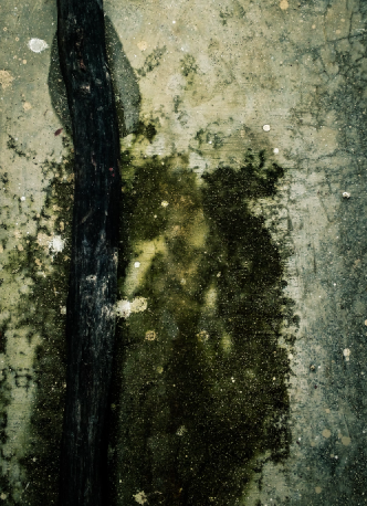 Standing water inside a house