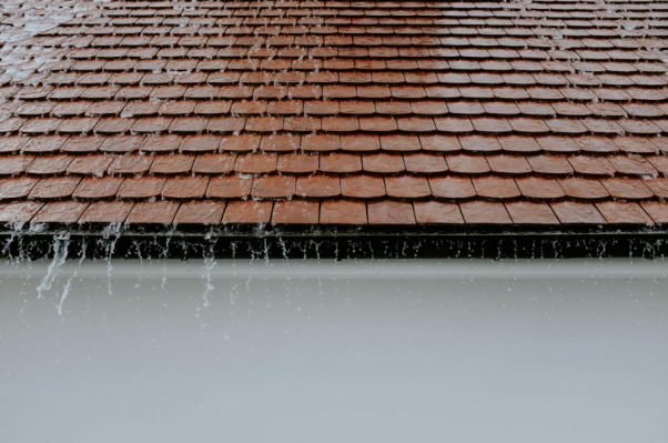 Rainwater on a roof