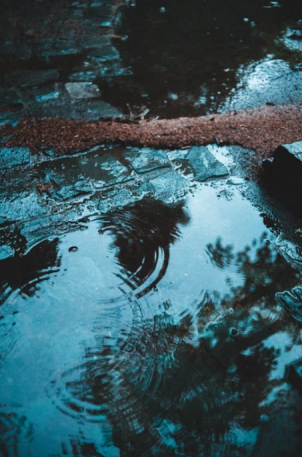 Stagnant water inside a house.