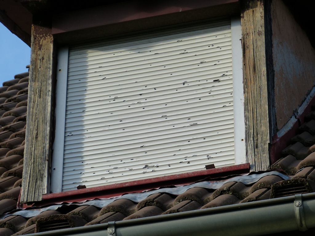 Damaged and mold-affected roller shutter window