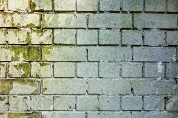 Mold growth on a wall